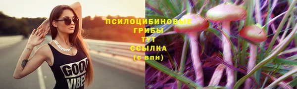 дмт Заволжье