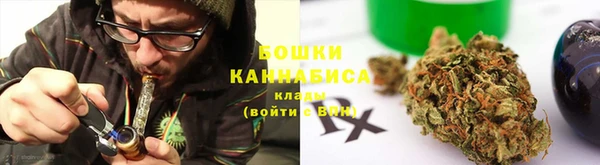 дживик Заводоуковск