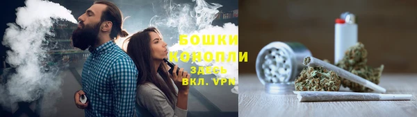 дживик Заводоуковск