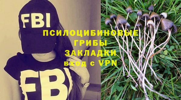 сатива Зерноград