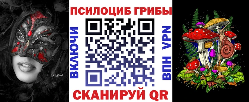 Купить где  Новосокольники  Псилоцибиновые грибы прущие грибы 